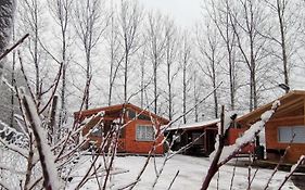 Cabañas EcoSur - Chile